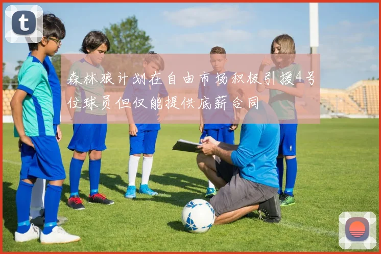森林狼计划在自由市场积极引援4号位球员但仅能提供底薪合同