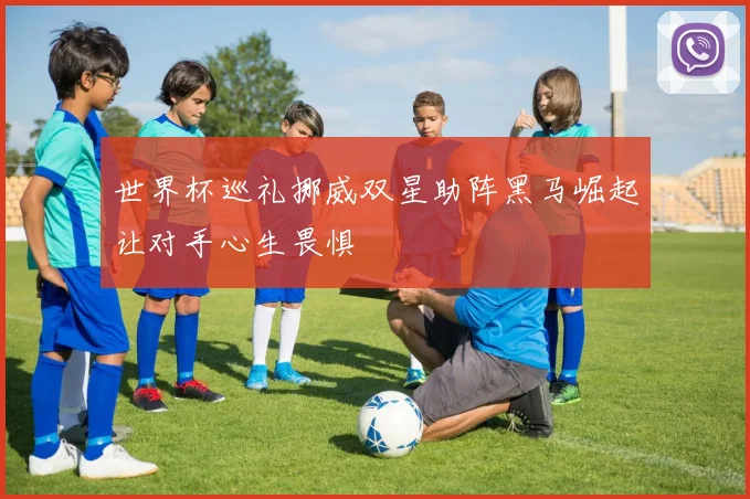世界杯巡礼挪威双星助阵黑马崛起让对手心生畏惧