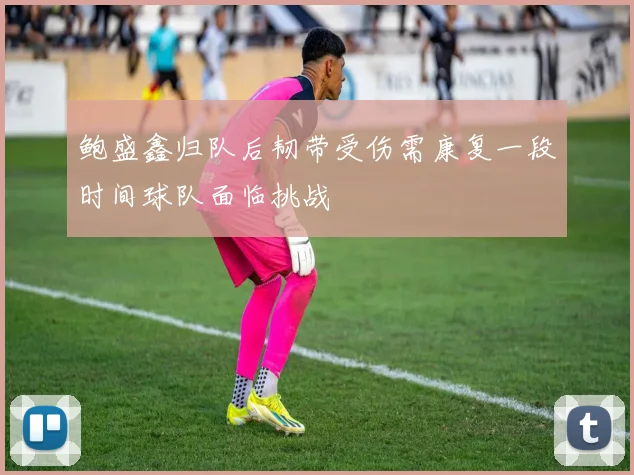 鲍盛鑫归队后韧带受伤需康复一段时间球队面临挑战